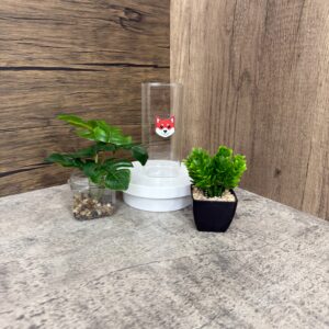 02.แก้วใส ทรงเหลี่ยม 13.5 ออนซ์