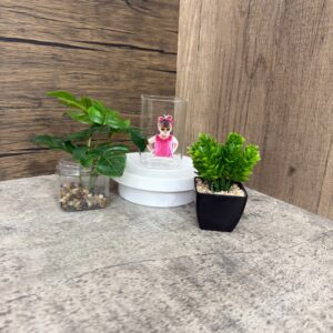 01.แก้วใส ทรงเหลี่ยม 8.45 ออนซ์